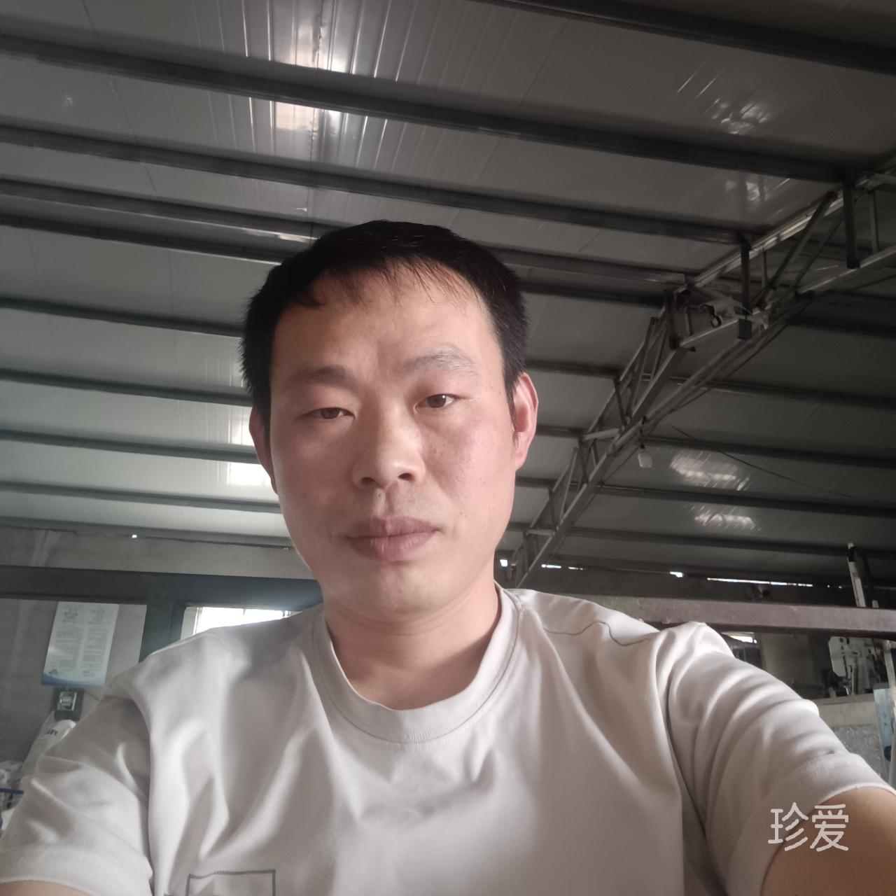 陈欣