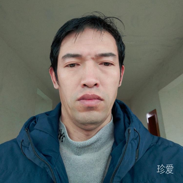 黃昏孤雁無故人