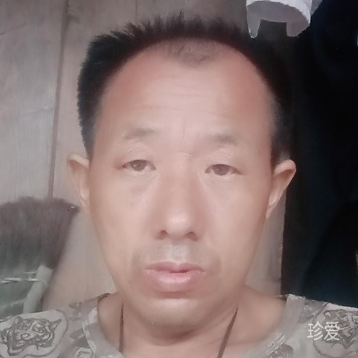 不吃鱼的猫