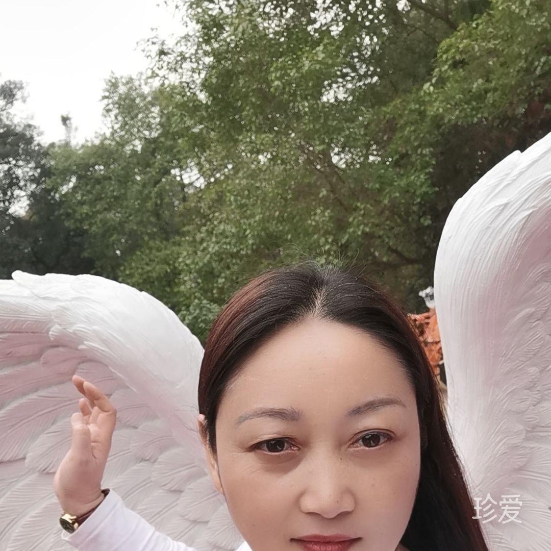 找家的女人
