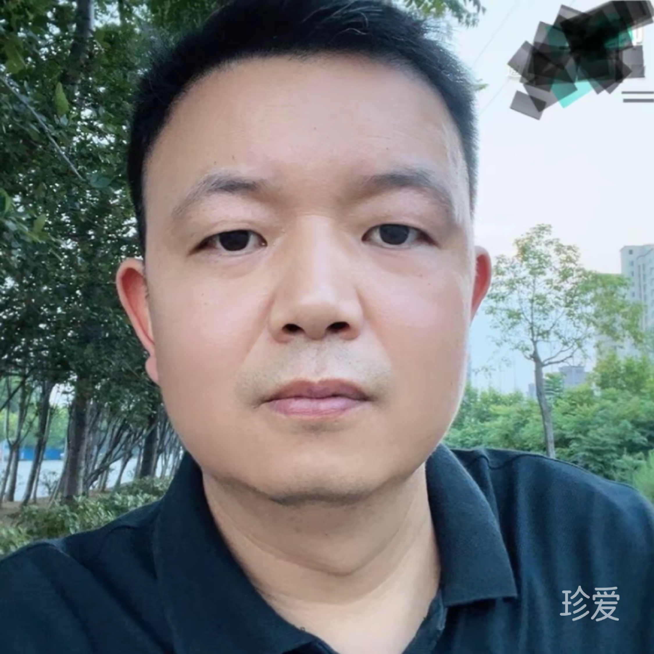 金牛座的牛