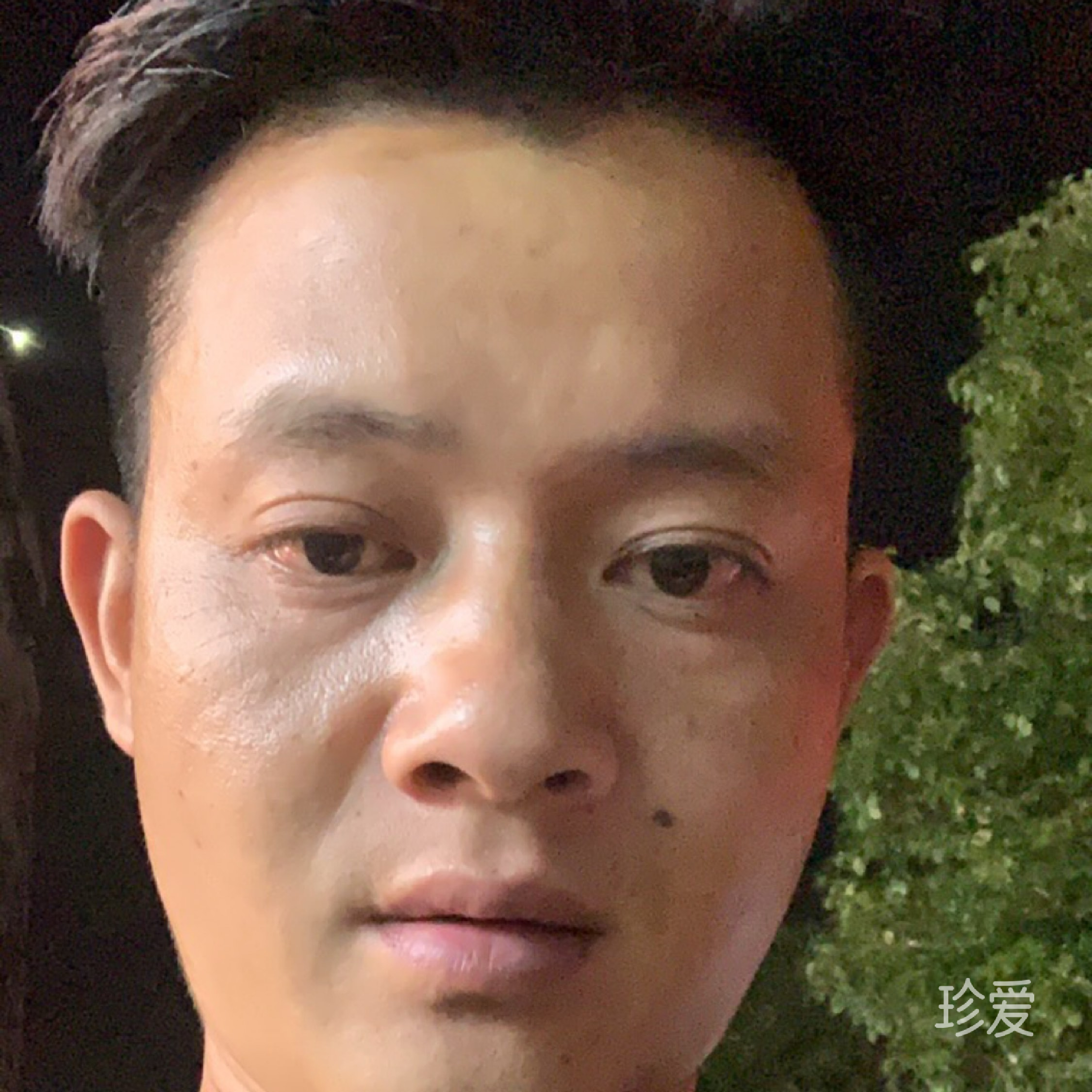 昨日如风