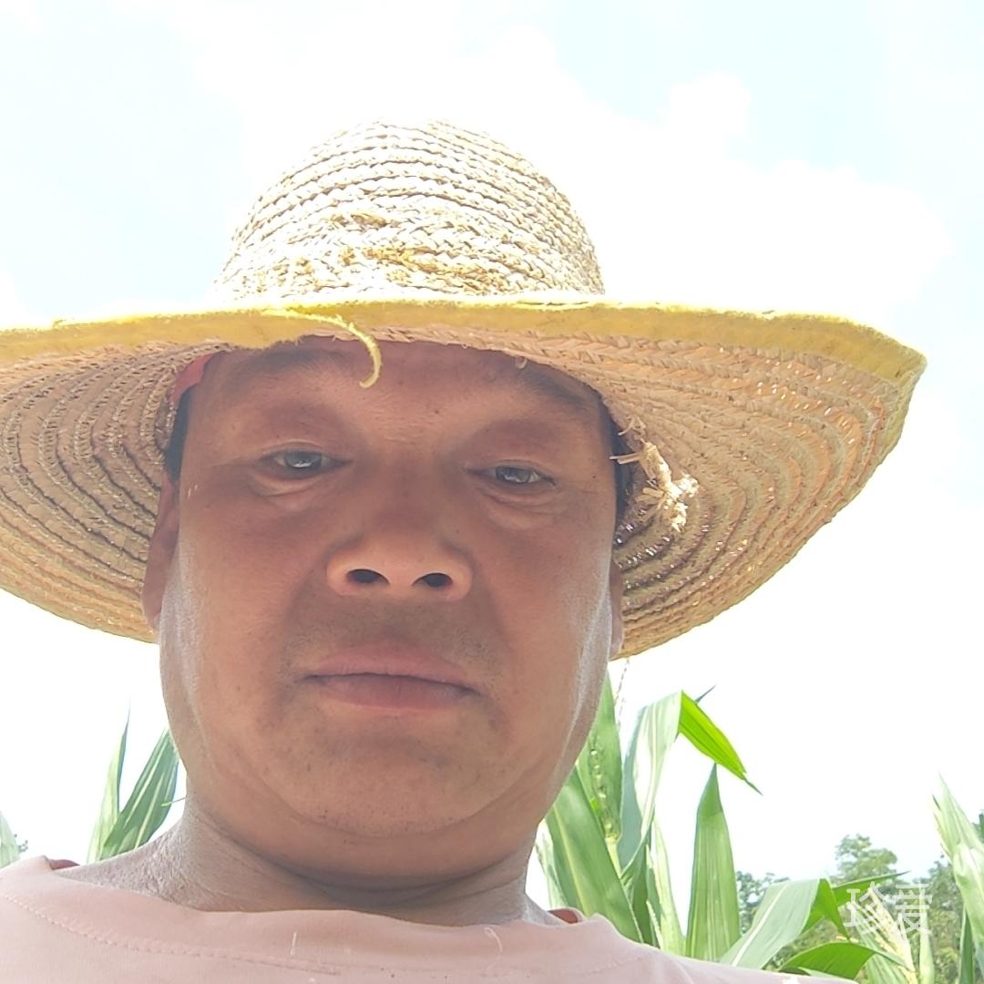 自由飞翔