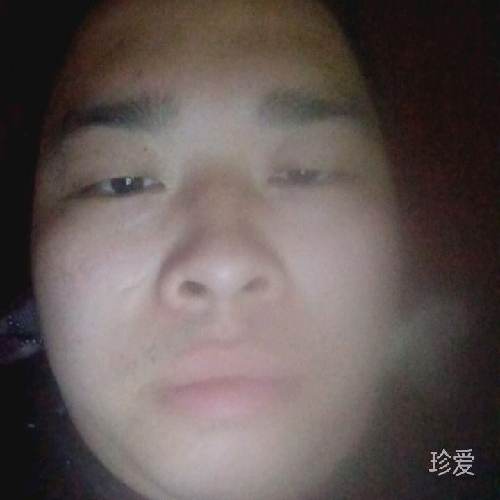 为爱飞翔
