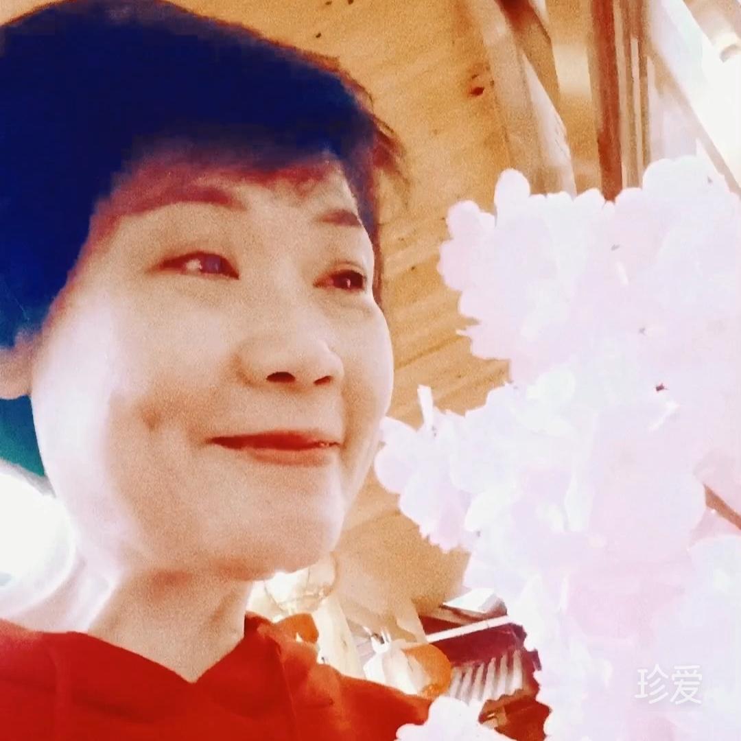 紫瑾