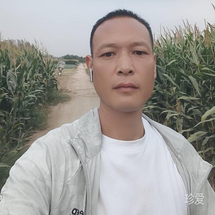 紫龙