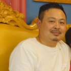 橄欖樹