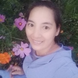 晨的星