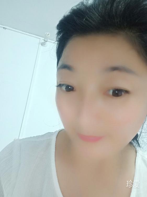 冰小猫