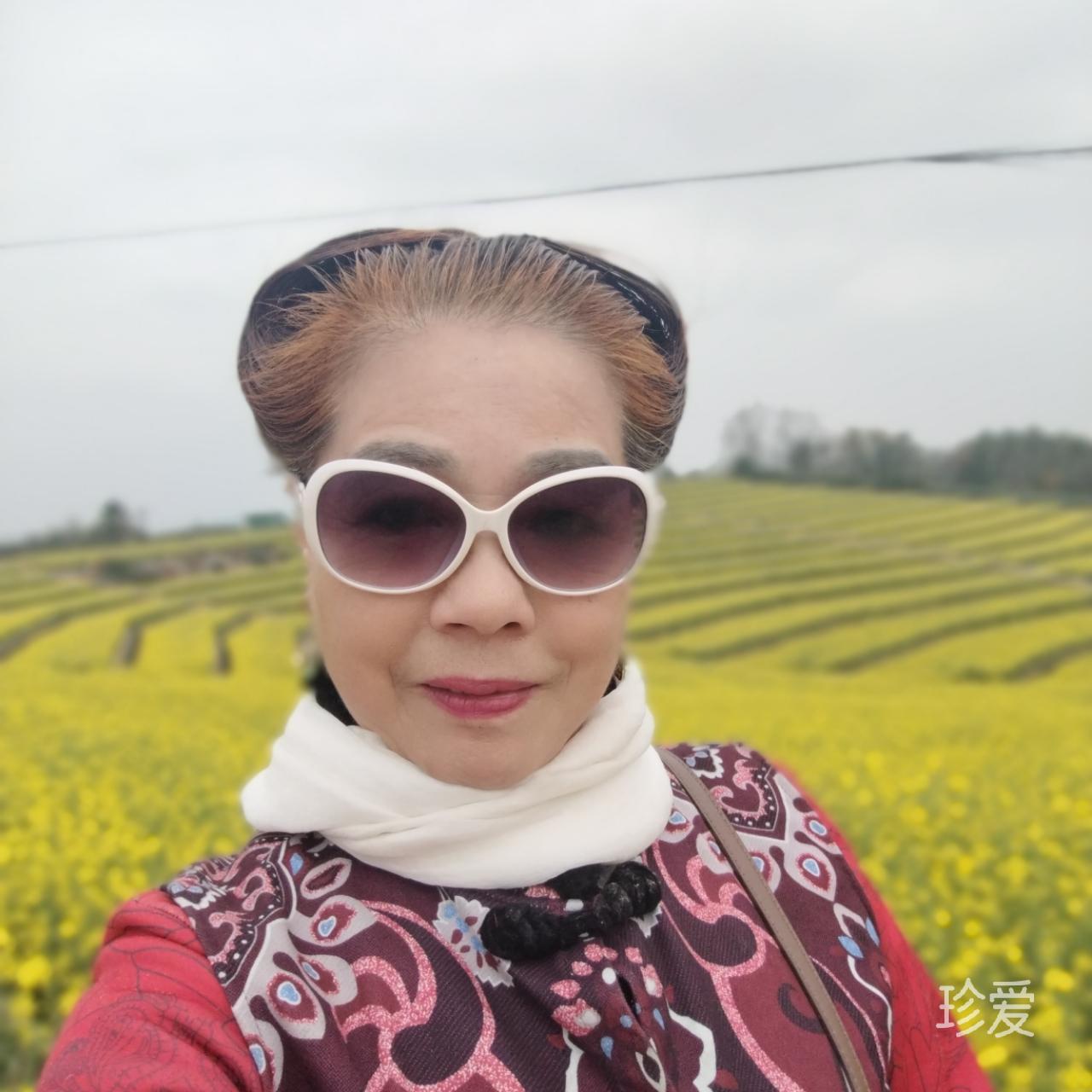 小鸟依人