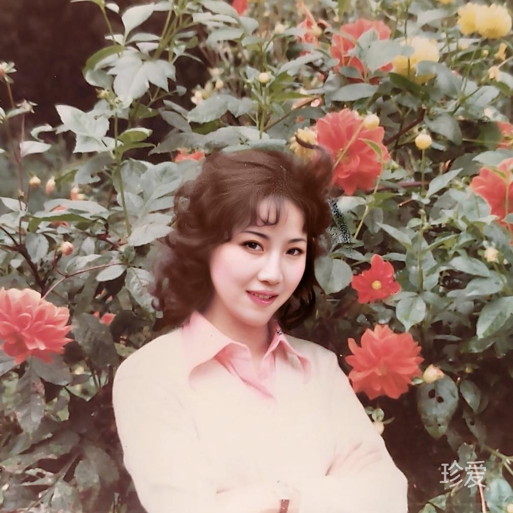 李纯