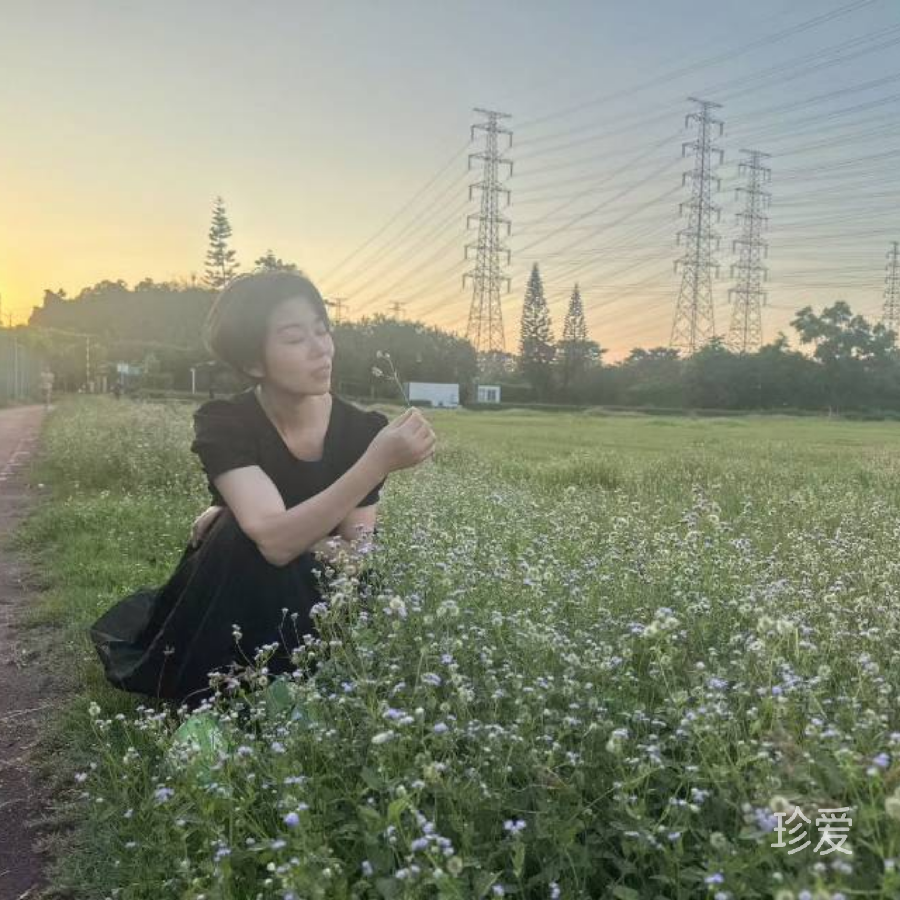 静听晚风