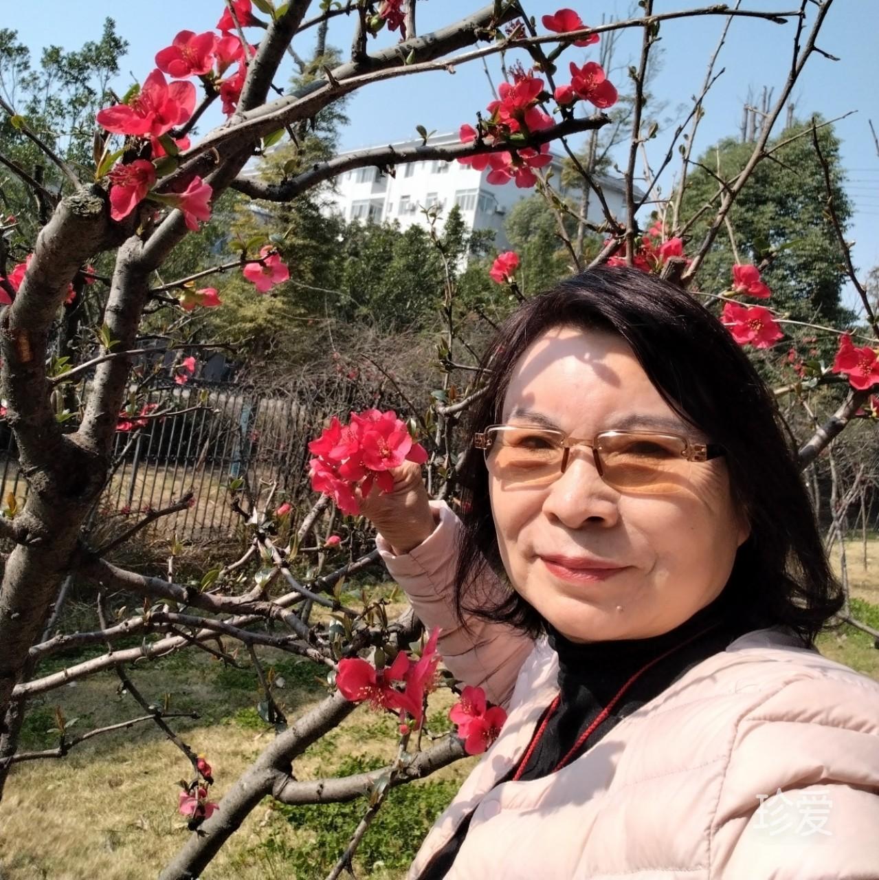 田田