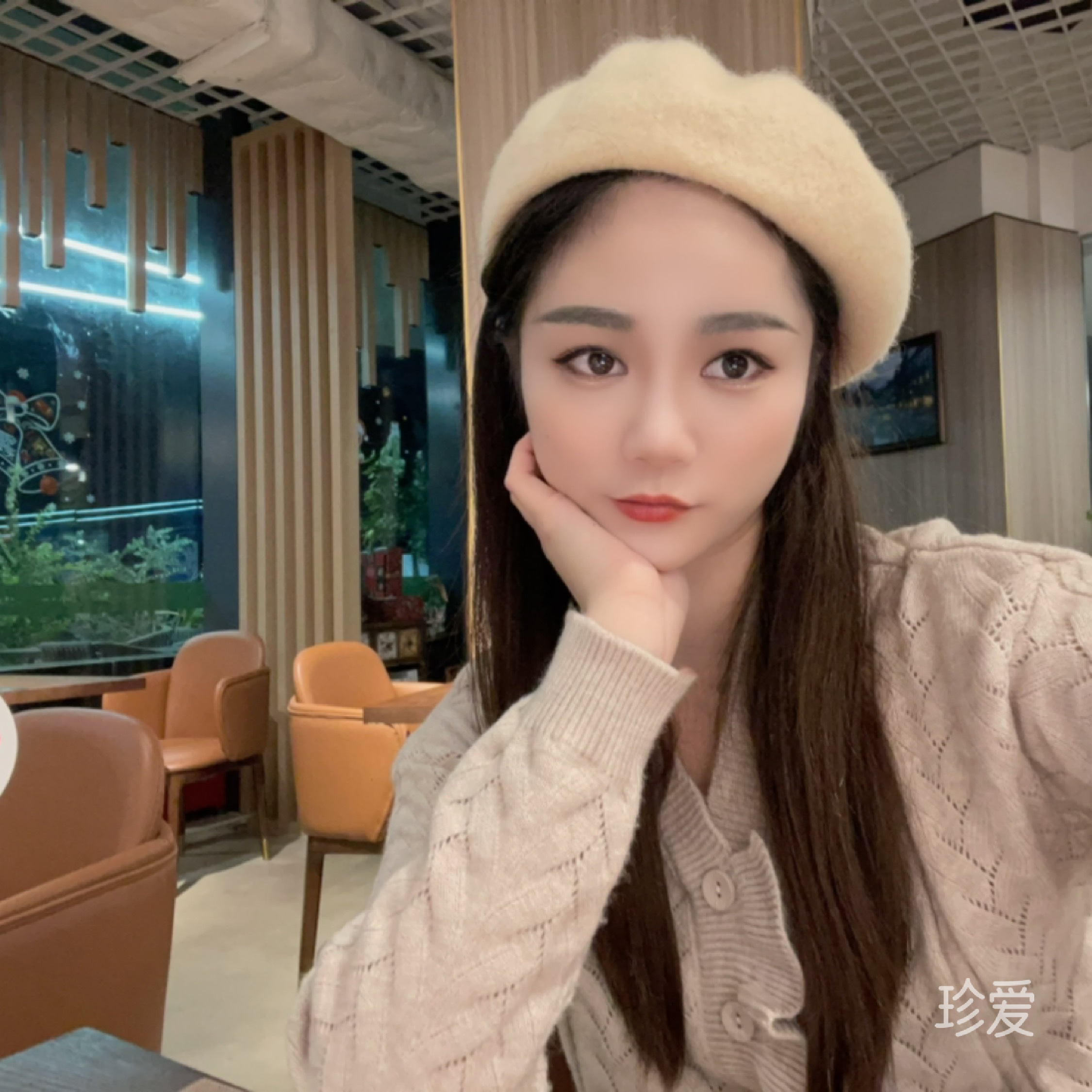 風(fēng)吹的蒲公英