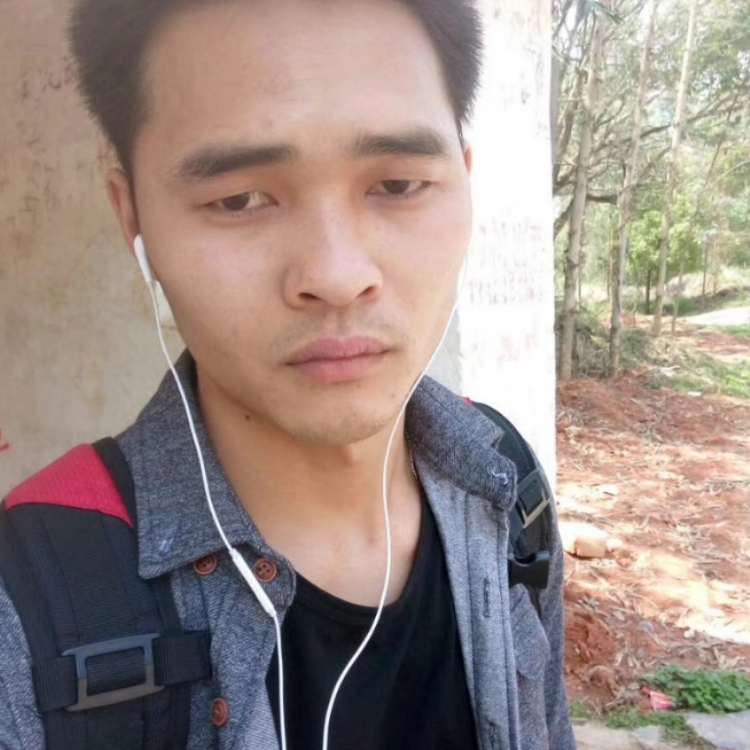 不会游泳的鸭子