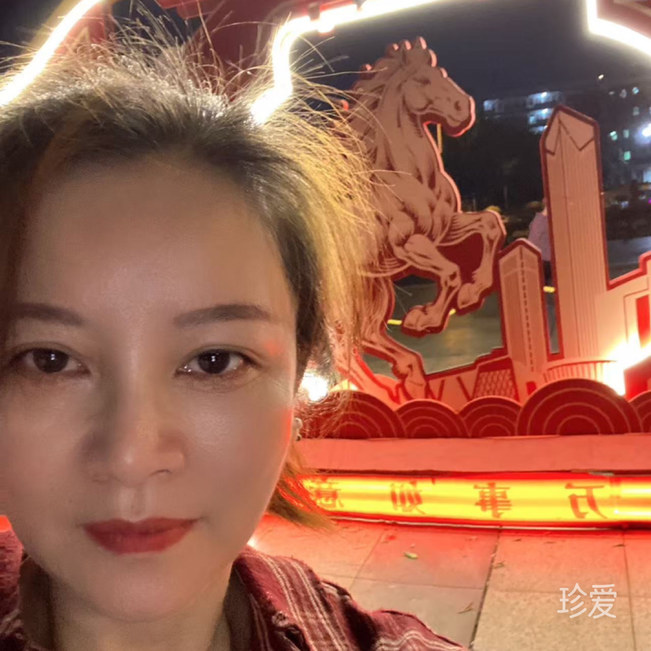 一辈子的小猫咪