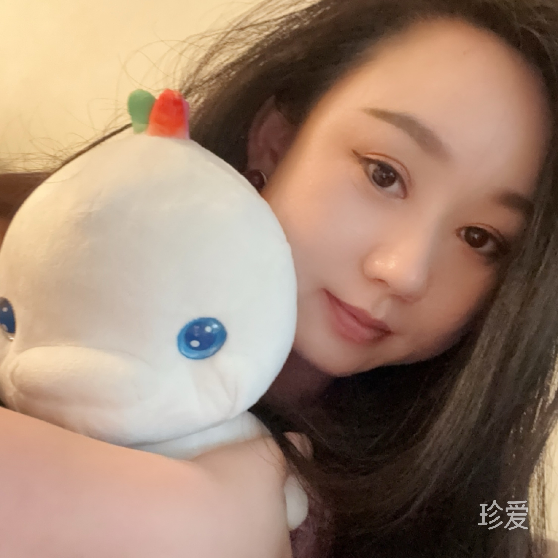 单飞的泡沫