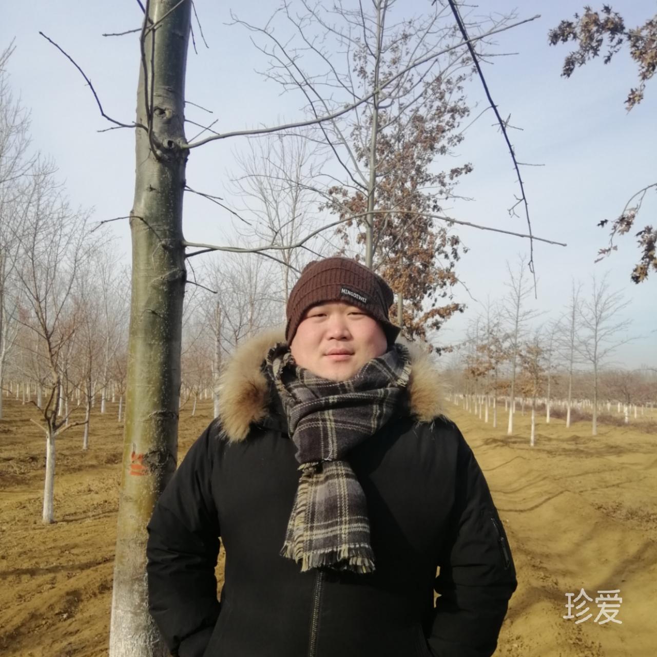 我很丑但我很溫柔