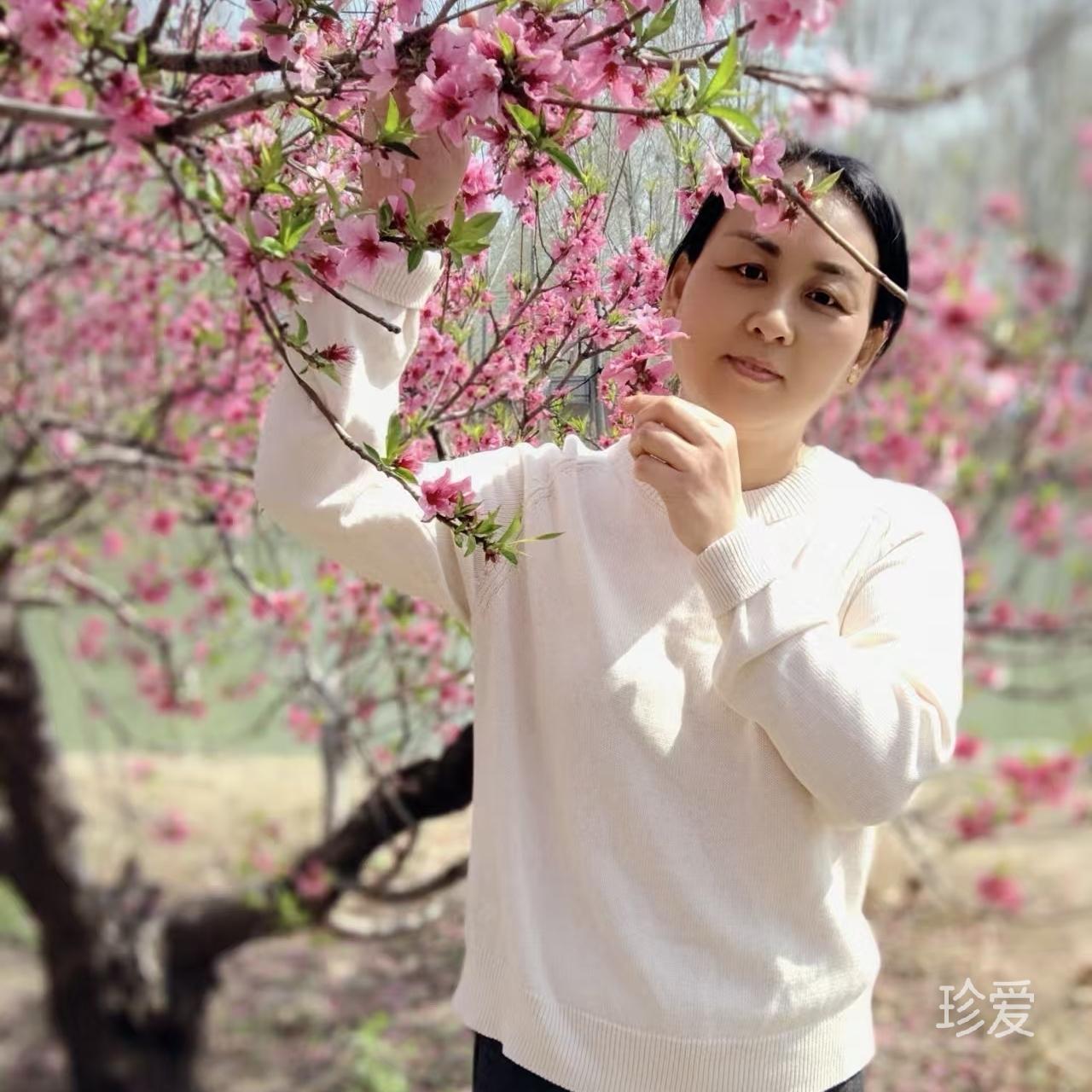 需找真心对我好的人