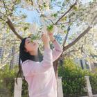 清夢(mèng)壓星河
