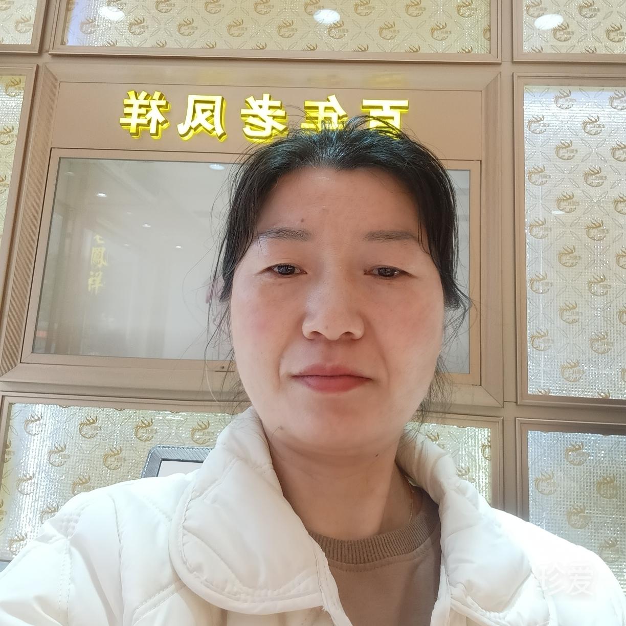一杯苦丁茶