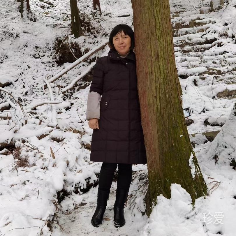 雪中寒梅