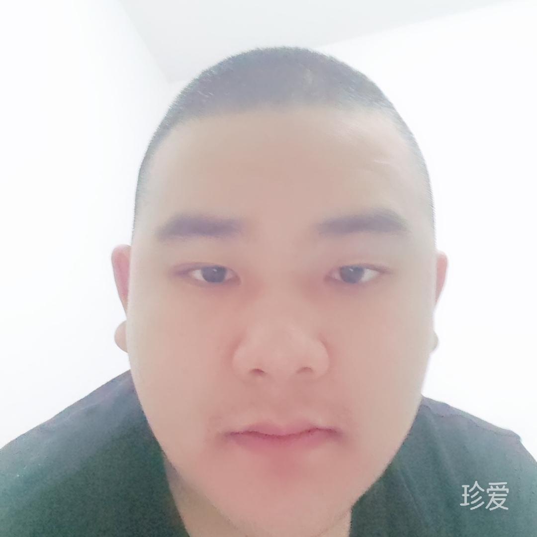 一只小龙虾