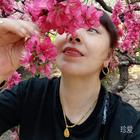Iucy