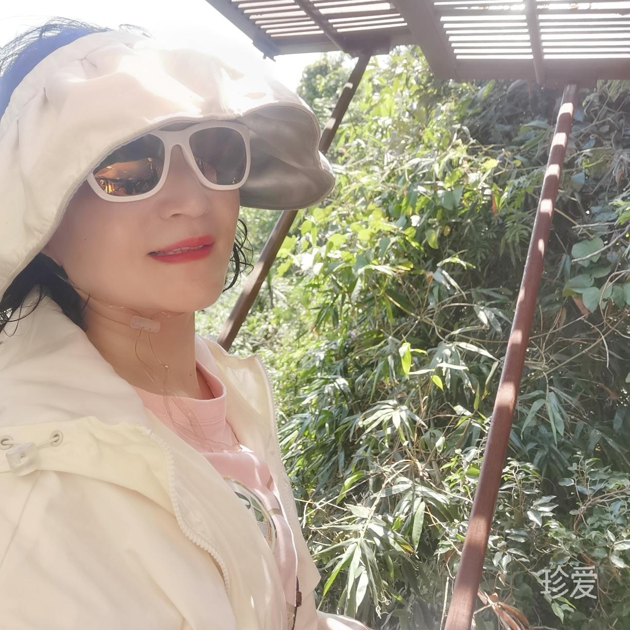 風(fēng)中的玫瑰