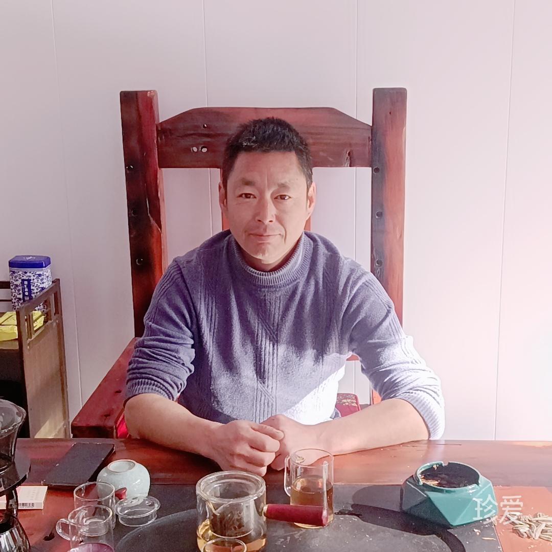 夢(mèng)想有雙翅膀的魚