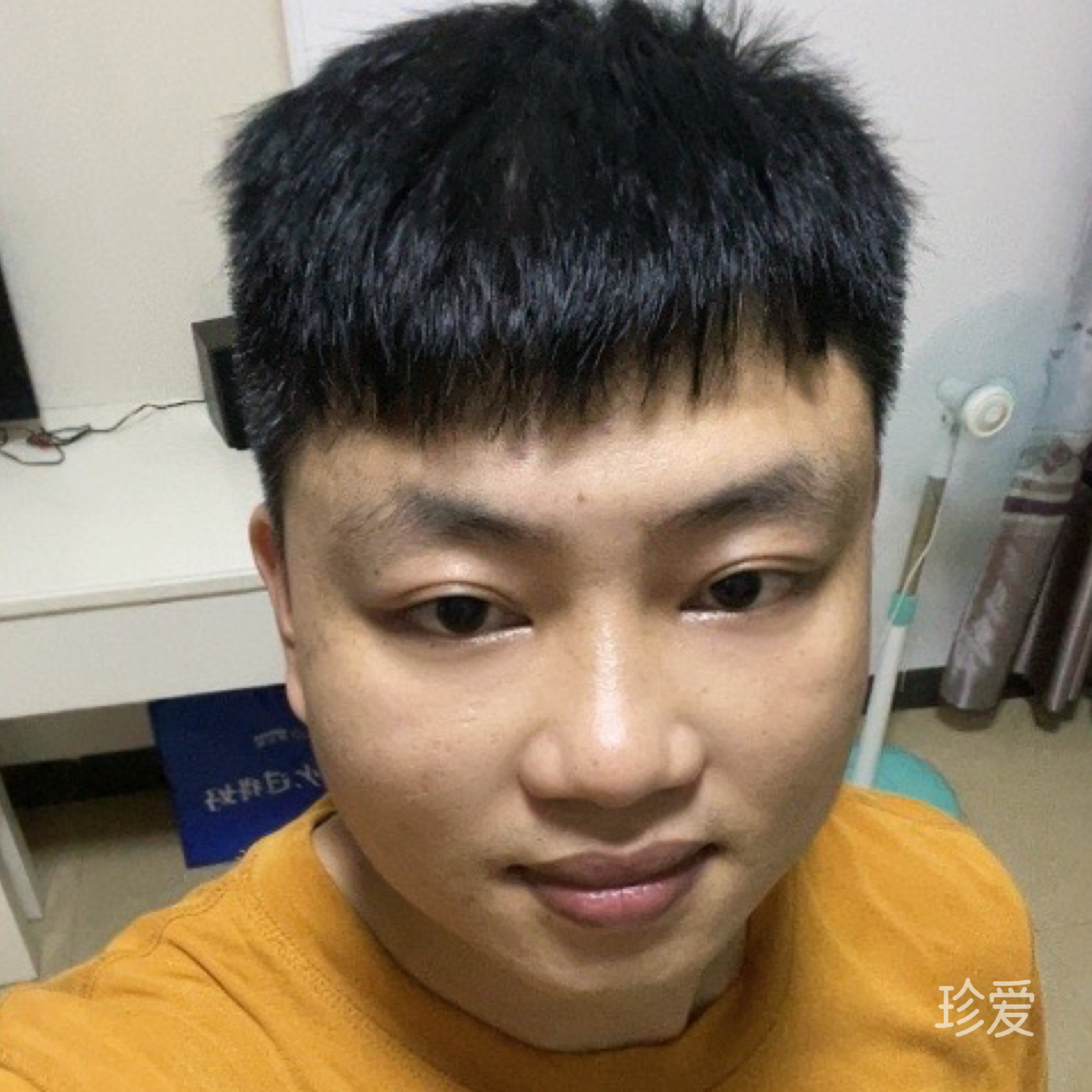 久伴梦