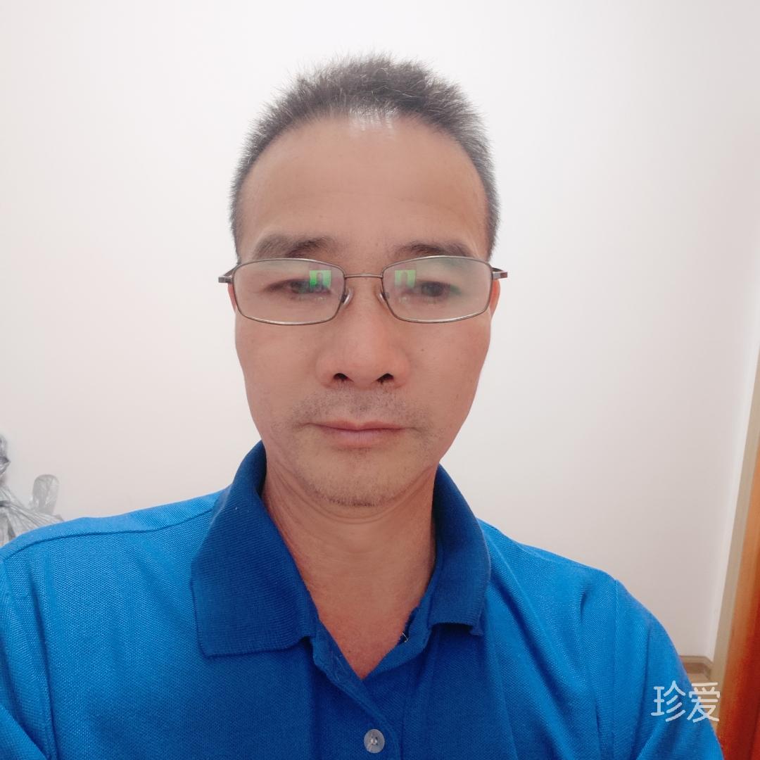 寂寞的老虎