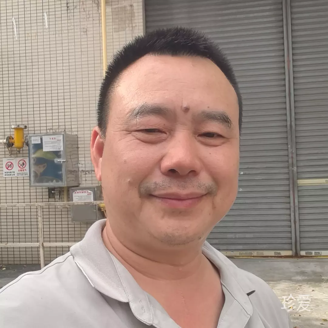 飞龙在天