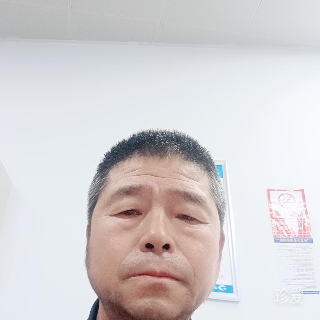 雨落青苔起相思