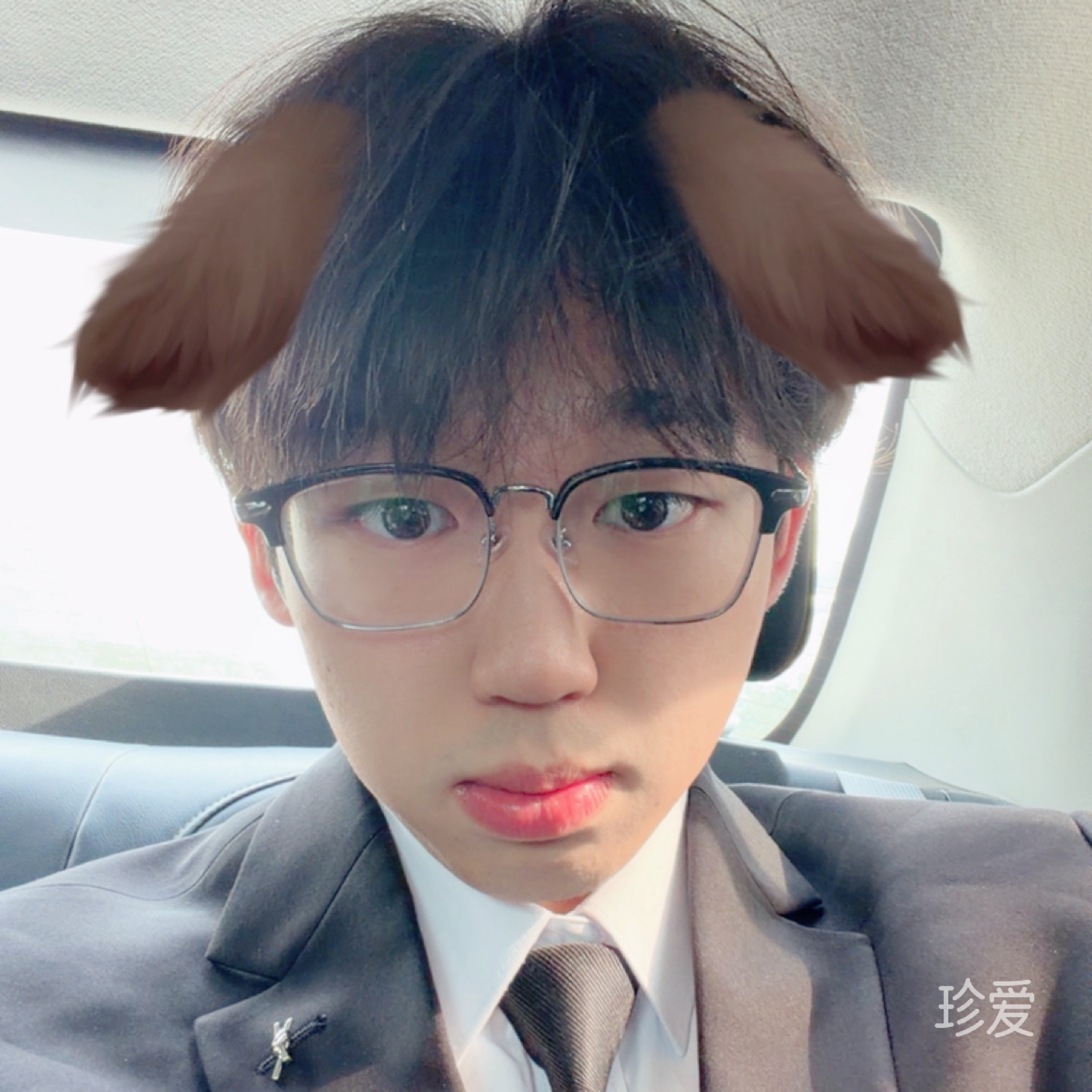 超级乖小狗