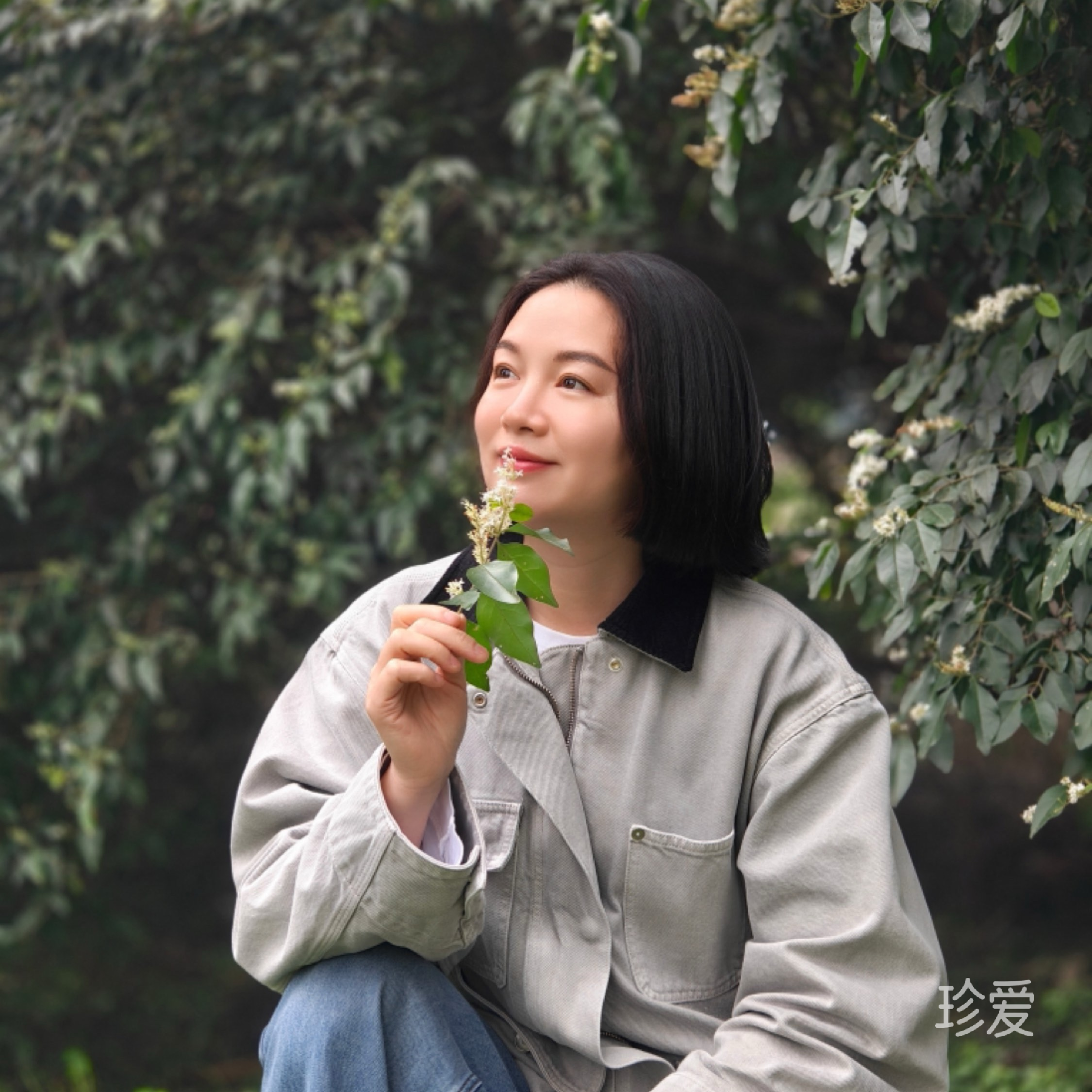雅颜