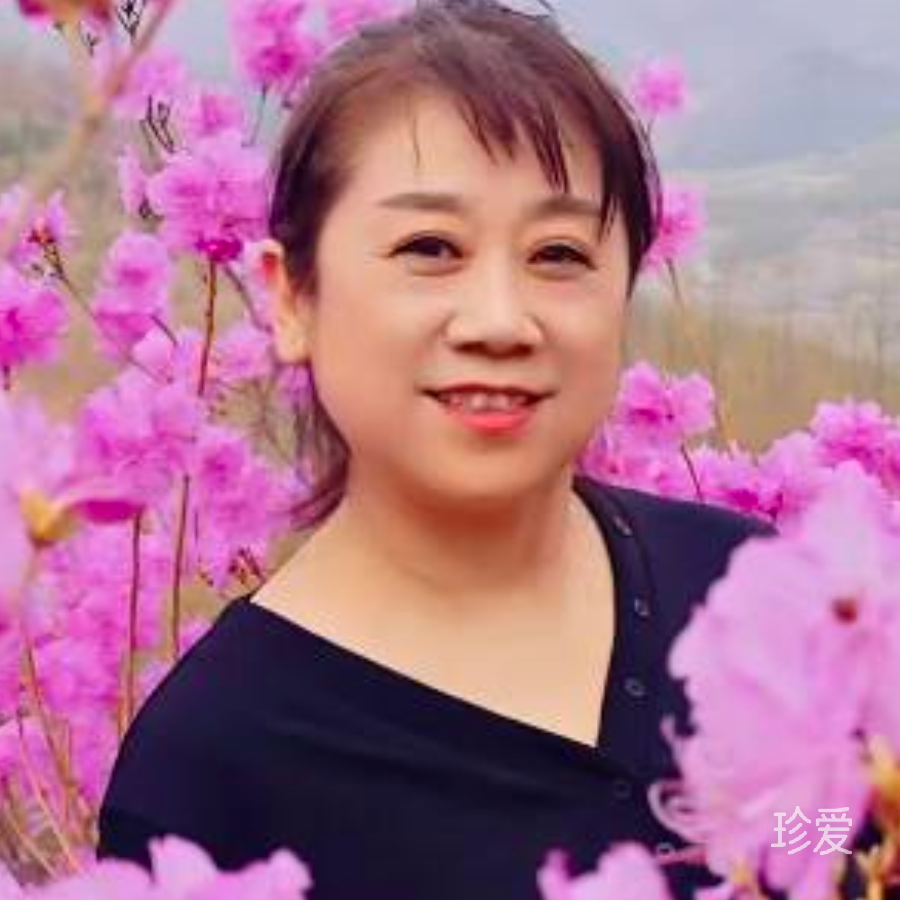苹果