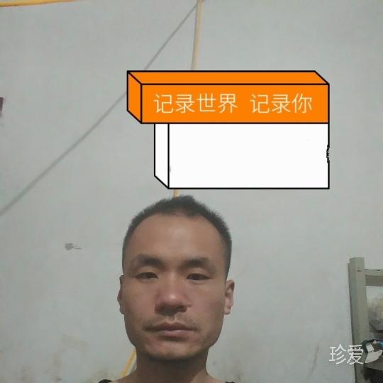坐等收留