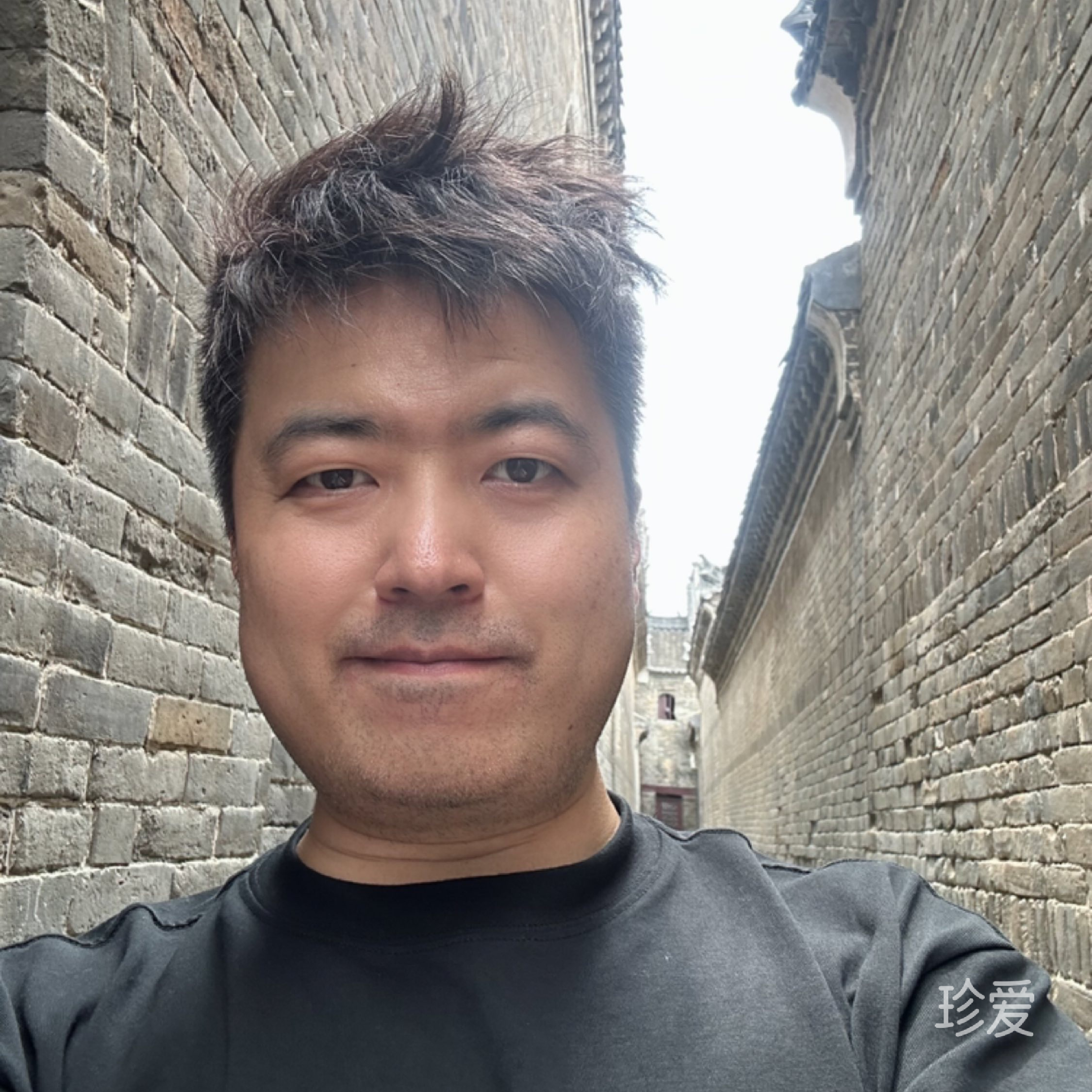 縱馬踏花向自由