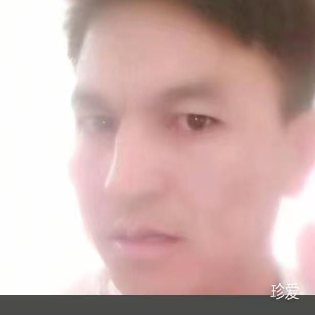 陶涛