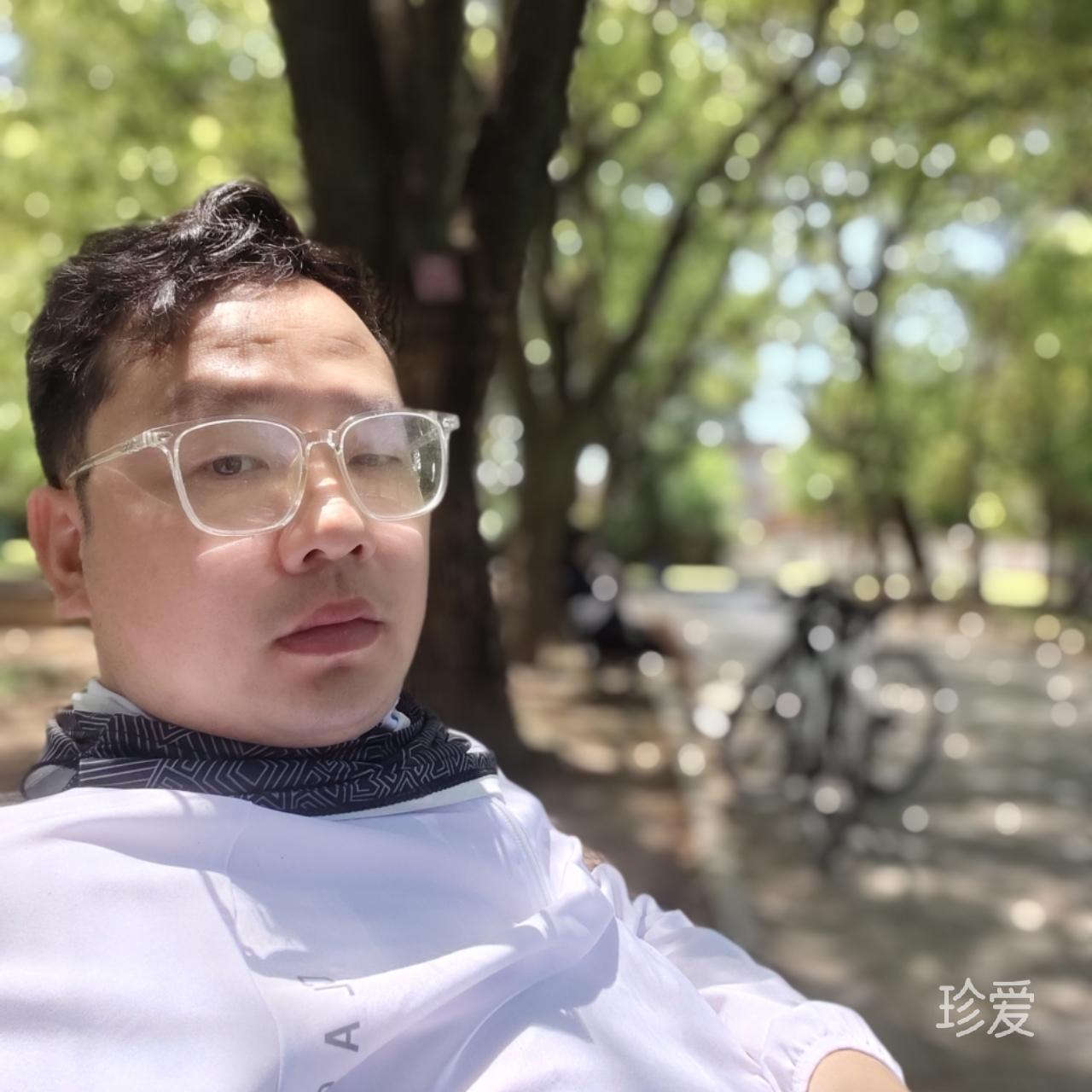 墨叶轻舞