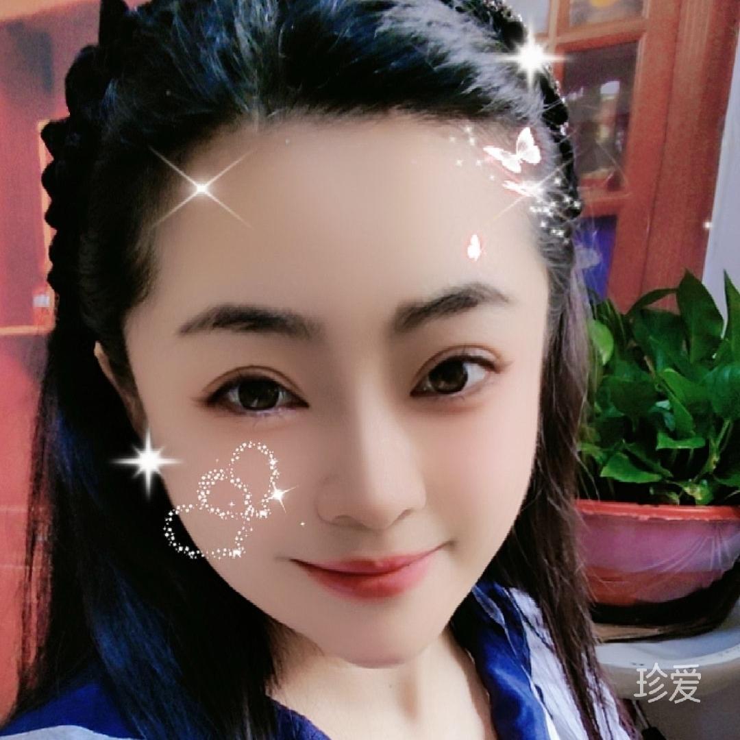 寻爱的小鸟