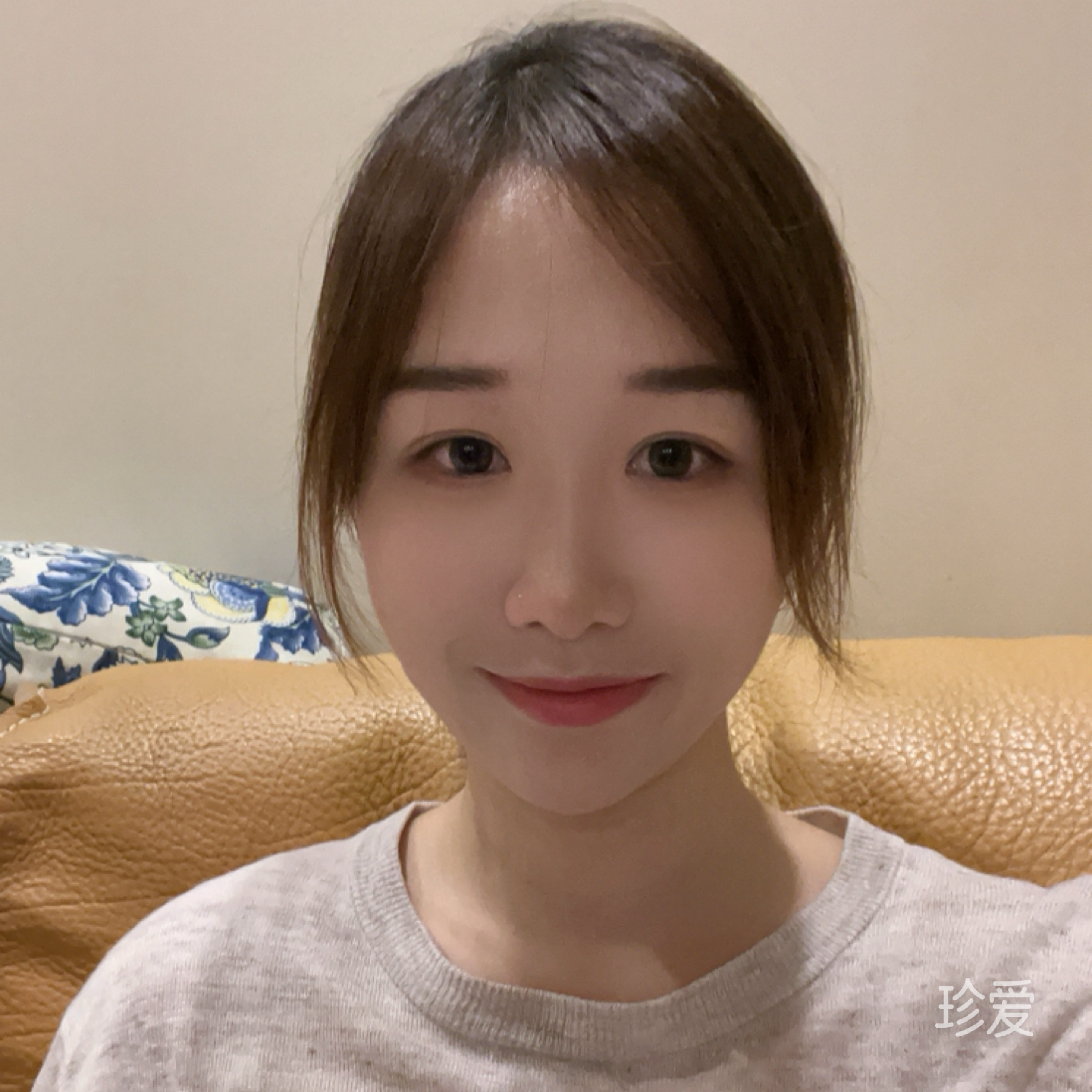 单片鸭