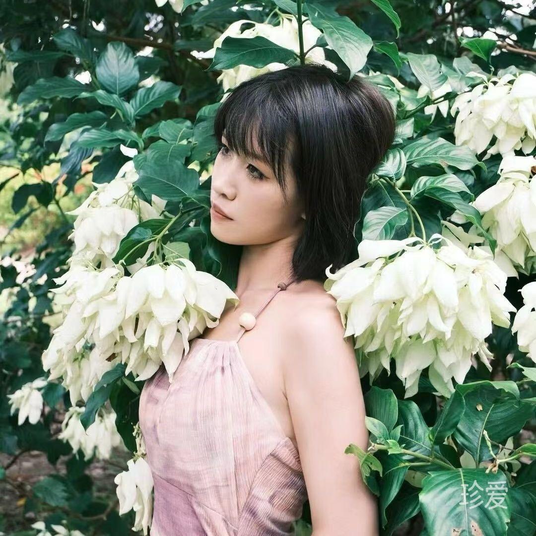 张宝琴