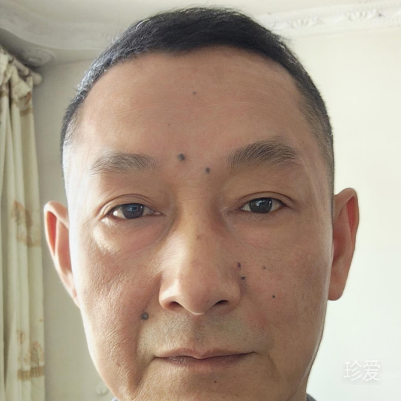 心随风动