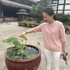 雪域彩虹