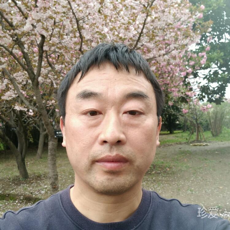 本来