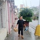 緣分天定