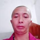 純情小笨豬
