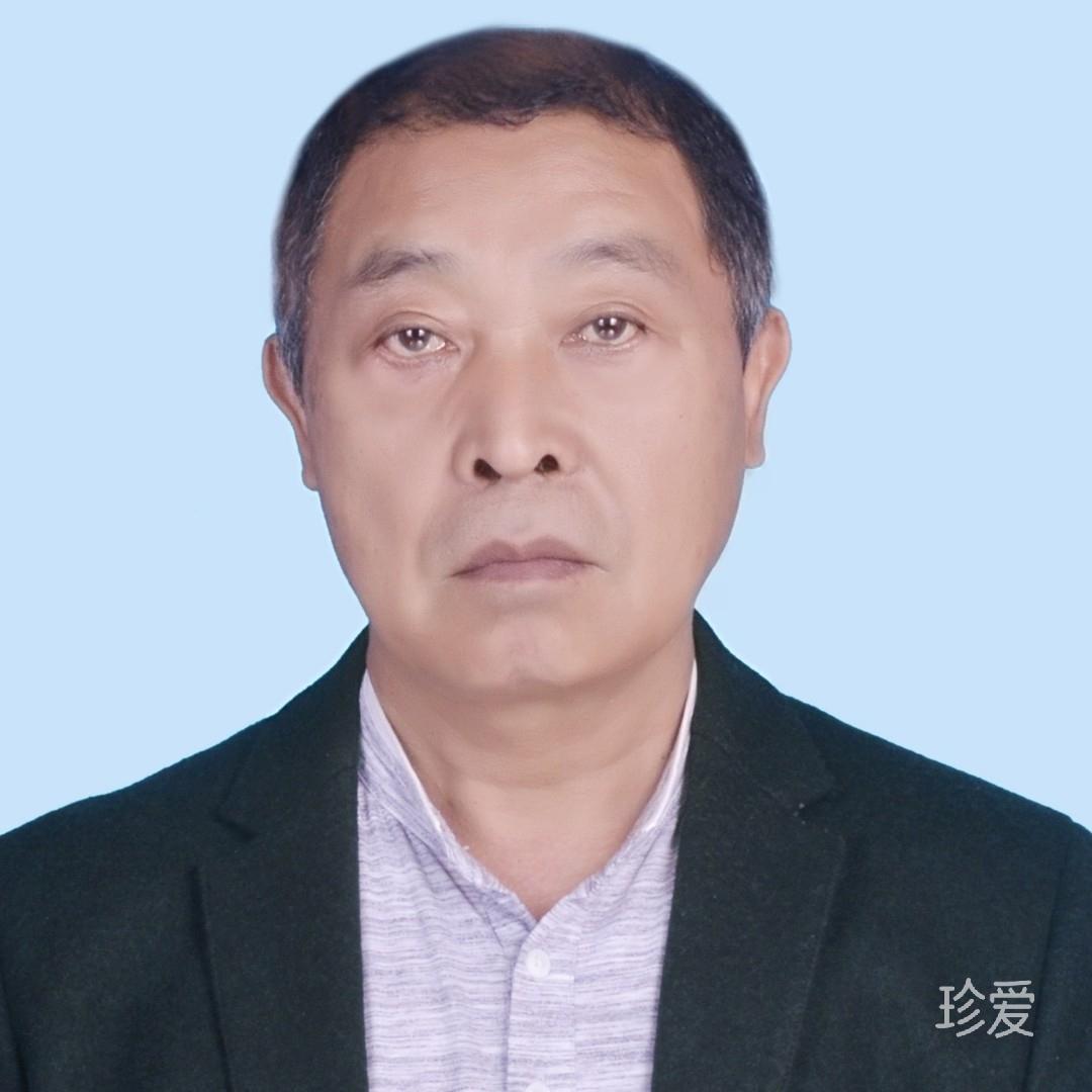 做我的猫宠你